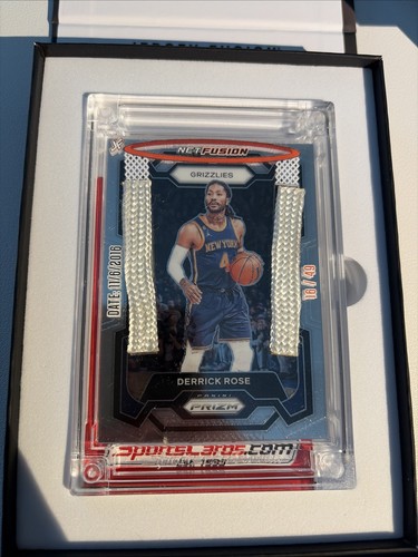 Derrick rose net fusion panini - net,
